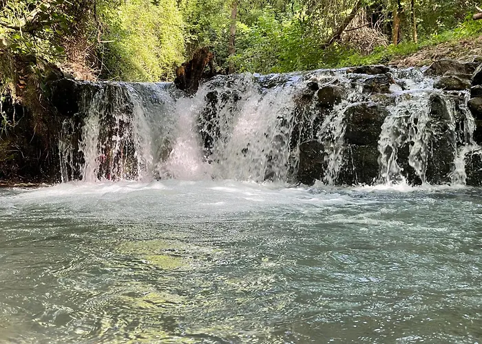 בית הארחה Residenza Matilde