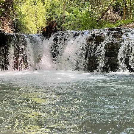 Guest house Residenza Matilde